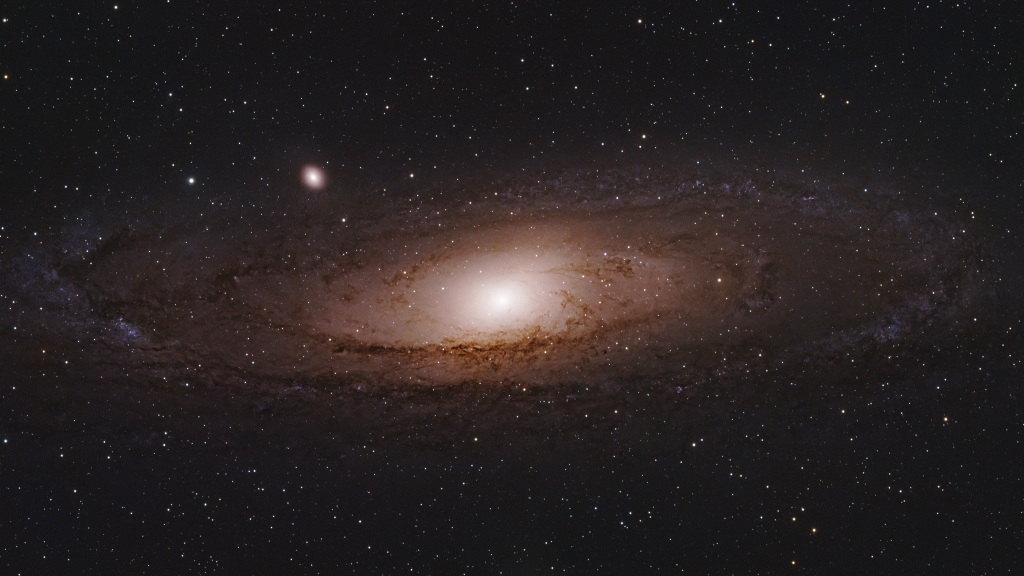 M31